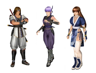 Illustration for article titled Here Are Some Dead Or Alive Nintendo 3DS Screens